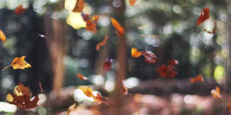 创业孵化器如何选择？以厦门思创园为例的5大评估维度与实战指南