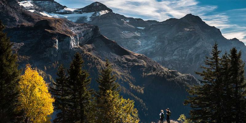 创业导师制度揭秘：厦门思创园如何为创业者提供一对一精准辅导