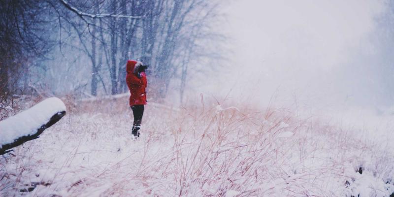 厦门思创园 vs. 其他创业园区：五大差异化优势与一站式企业服务解析