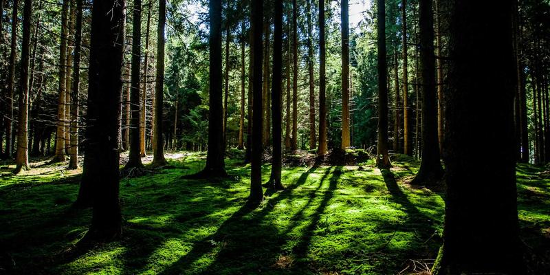 厦门思创园企业服务升级：数字化工具如何赋能初创企业降本增效？