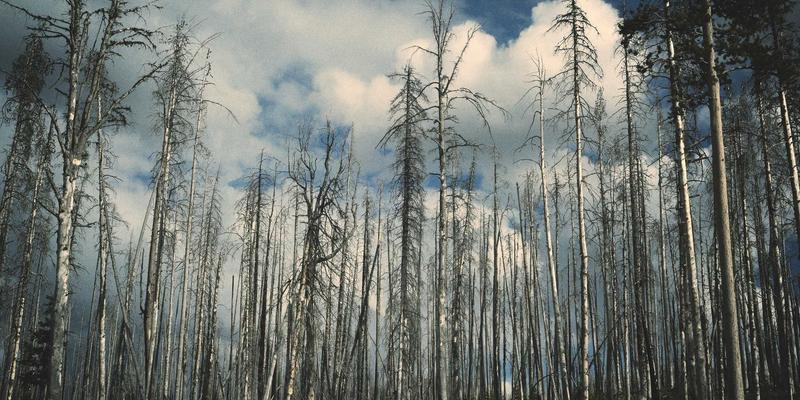 厦门思创园公共技术平台探秘：硬科技企业如何低成本获取顶尖研发设备与全方位支持？